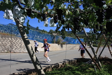2010-0618-1636_1.jpg