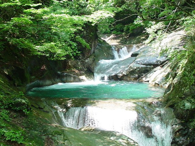 夏の三重の滝.jpg